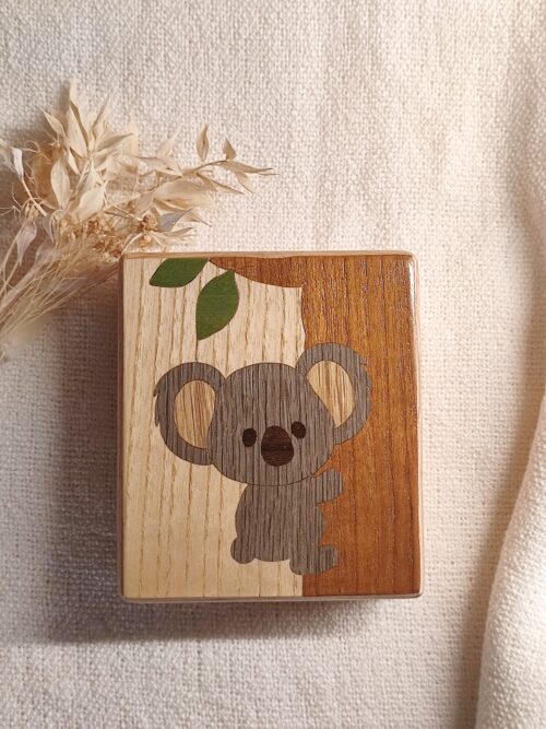 Coffret Koala